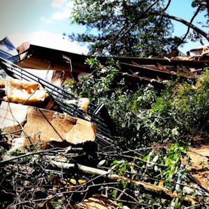 Mixed Landscape Debris::Additional Charges dumpster with mixed load - lanscaping & construction debris